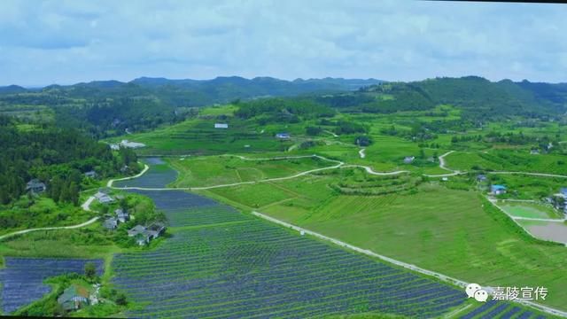 嘉陵@南充嘉陵,你好!