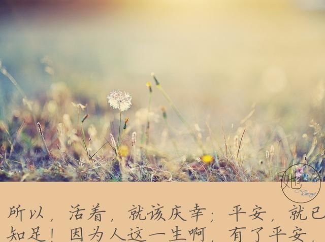 【人到中年】人到中年,平淡是真,平安是福