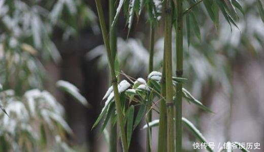  「冬日」雪竹，就是最美的冬日诗词