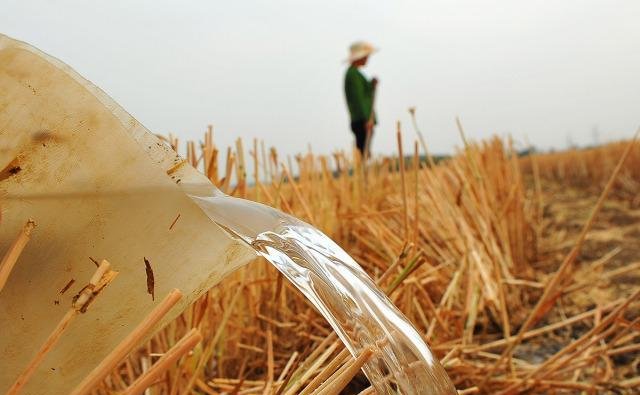 黄河水量创新高，钓友和农民却犯愁！不能钓鱼，也无法浇地