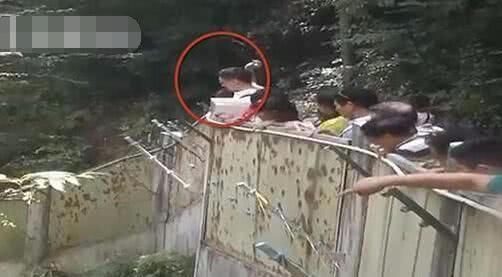 这些人不仅对熊猫大吼大叫，还用石头砸国宝，被列入黑名单算轻的