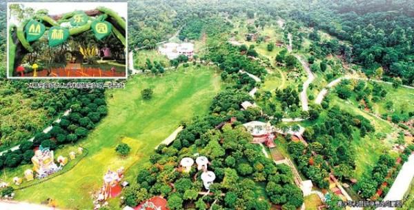 南宁青秀山风景区新东区将开放 哪些景点不容错过?“剧透”看点