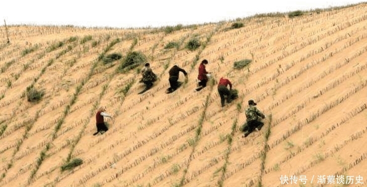  「创造奇迹」中国即将消失的一片沙漠，我们又一次创造奇迹，把