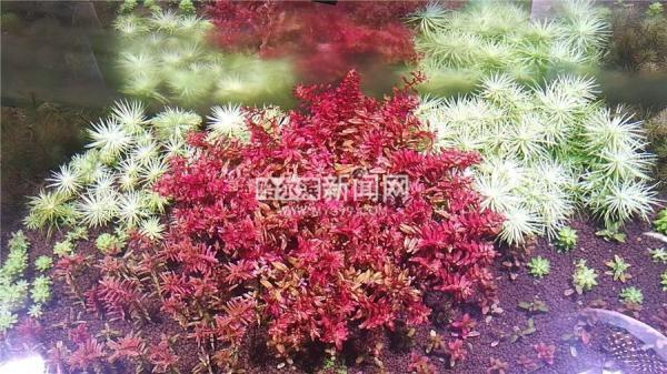 年末家里电费突然冒高？你可能被”阶梯“了 这样做少花冤枉钱