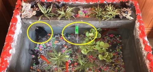  花钱买：鱼缸不用花钱买了，老爸裁开泡沫箱来养鱼，如同砖砌的，省钱好看