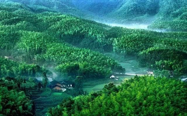 怎么走怎么走怎么走