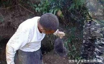  [围观]农村大哥挖窖，挖到一宝贝, 看清后高兴坏了, 引来村民围