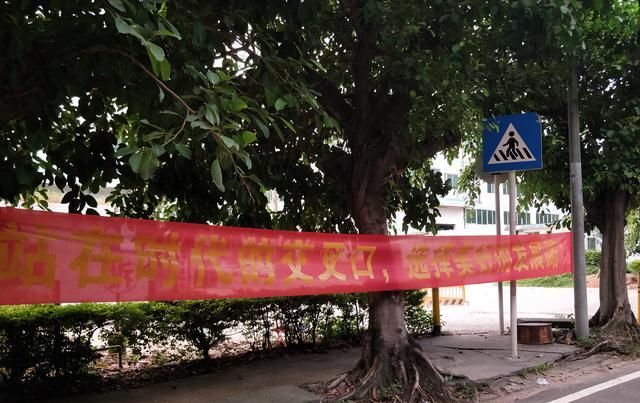 深圳沙井某工业城拆迁，挂满横幅喷上拆字，唯留宗祠或许这是文化