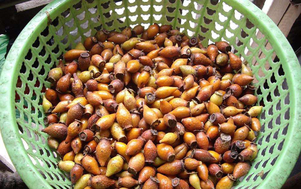  「熬糖」过去用来熬糖，如今用来酿酒，市场价30元一斤，农民却