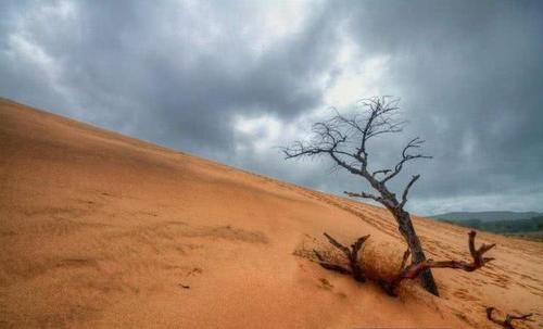 世界最“不正经”的沙漠，400年不下雨，刚下完雨就出现了奇迹！