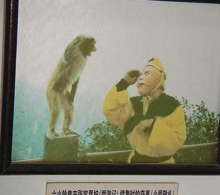 还原当年“猴子敬礼”真相，六小龄童老师说谎炒作多年人品遭质疑