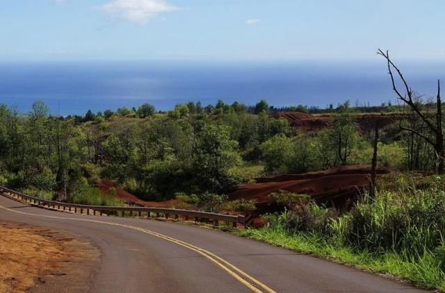 全球最潮湿的地方，每年平均有335天下雨，却形成了一处独特风