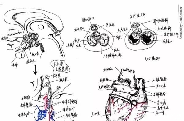  「建筑工程学」顶尖高校学霸晒出“神仙笔记”网友跪了这就是差距啊