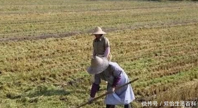  「土地确权」农村土地确权，是怎么个意思？20岁以下没土地的人