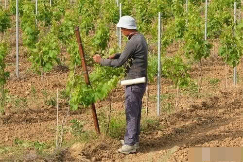  [区别]农业户口和非农业户口有什么区别？现在退休年龄，分农业