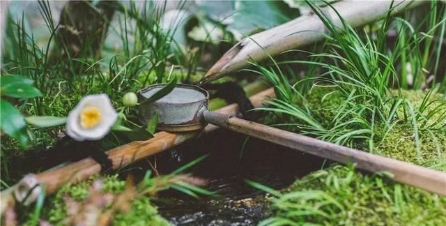 庭院入户常见景观的风格选择