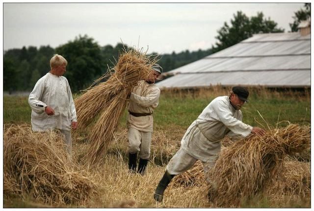  「天赋」靠种菜天赋，10万东北农民征服远东，俄罗斯姑娘：嫁人
