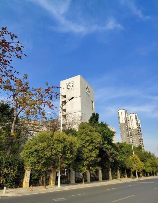  [型号]感受后对你说：iQOO 3为什么成当今换置手机优选型号？