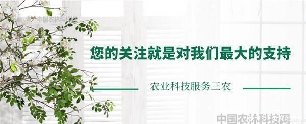 『眷顾』就恋这一片热土,渭北铜川,这块被春天眷顾的土地