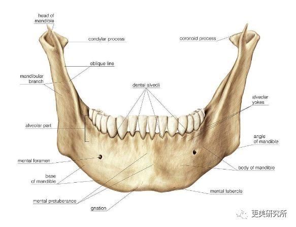 “整牙到底能不能瘦脸”终于有了权威结论,杨幂竟是被冤枉的?