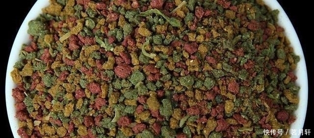  【把握】钓鲤鱼为什么难?因为没有把握好窝料、调钓、饵料,造成鱼难钓