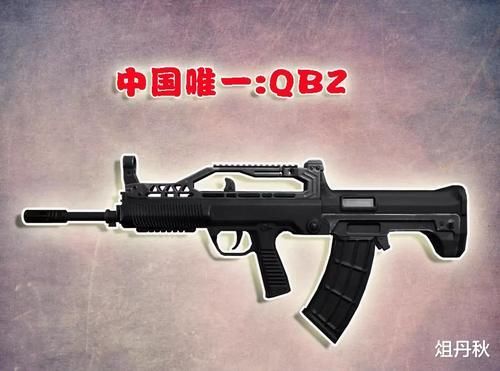 「步枪」刺激战场10把步枪来自哪美国入选4把,中国只有1把冷门枪