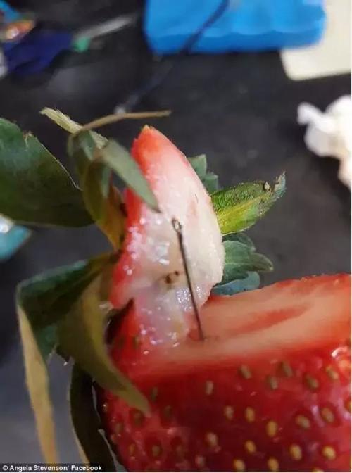 香蕉也发现针头！事态严重升级，疑似有人报复袭击！澳政府悬赏！