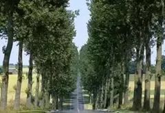 危险！99%的司机开车时都会遇到这些情况