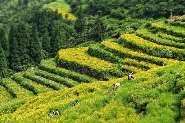 比厦门人少，比霞浦更仙，福建这个小众旅行地美哭了！