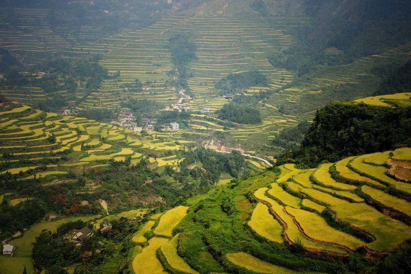 9月，贵州最美的风景竟然在这里，一生要去看一次~