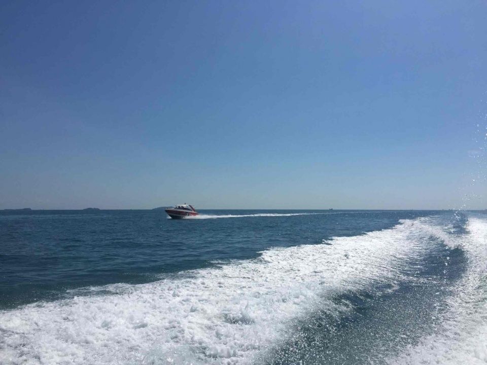 中国游客泰国遭导游恐吓连夜出逃,为什么中国