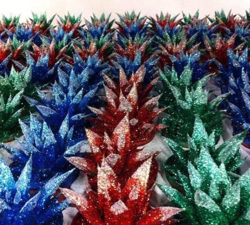  朱顶红：看见这花可别买，忍住，小心被忽悠，花钱买气受！