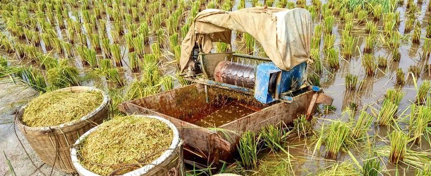  「补贴」低粮价伤了农民心，国家发补贴鼓励种植，农民：直接涨