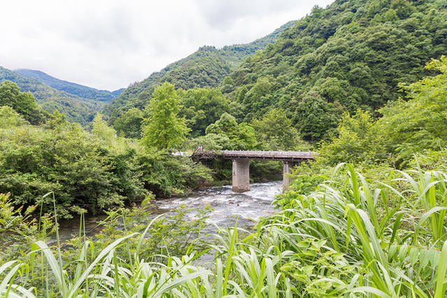 高度与黄山齐名，以它命名的景区共有108峰，更是为避暑而生