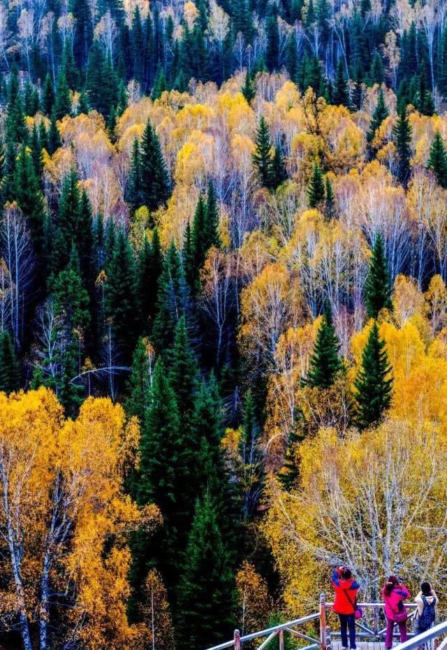 中国最美的这50个地方,你去过几个?