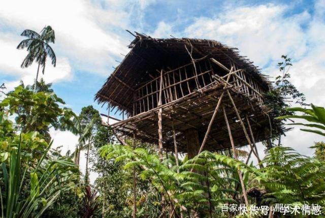 世界罕见的“食人部落”，他们领地意识很强，但看到游客却很兴奋