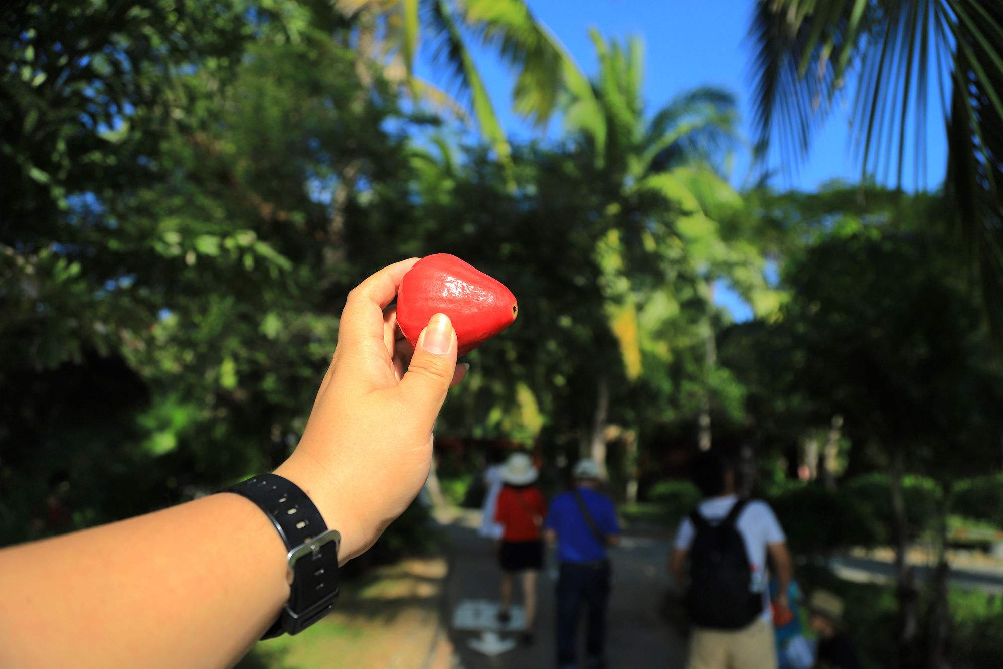 【遇上一座城】请到天涯海角来，一起去看比基尼大长腿的三亚微游