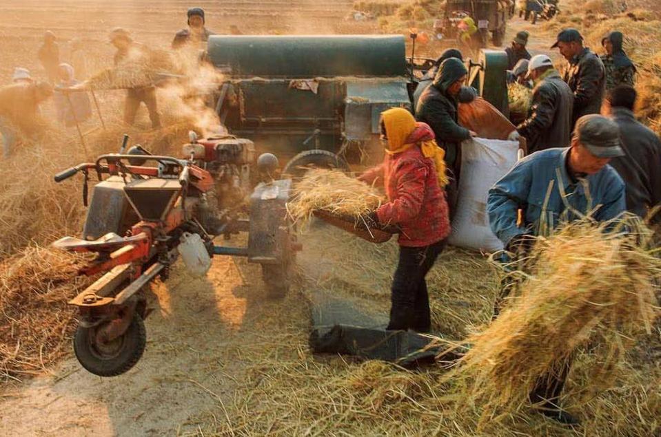 如果城里农村各有房，属于“一户多宅”吗？涨知识了