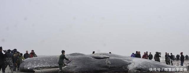 GDP洼地！为什么江苏的苏北地区经济比江南差了这么多