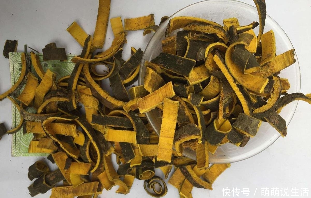 这树十分珍贵，树皮内含“黄金”，如今40元一斤，见到请好好保护
