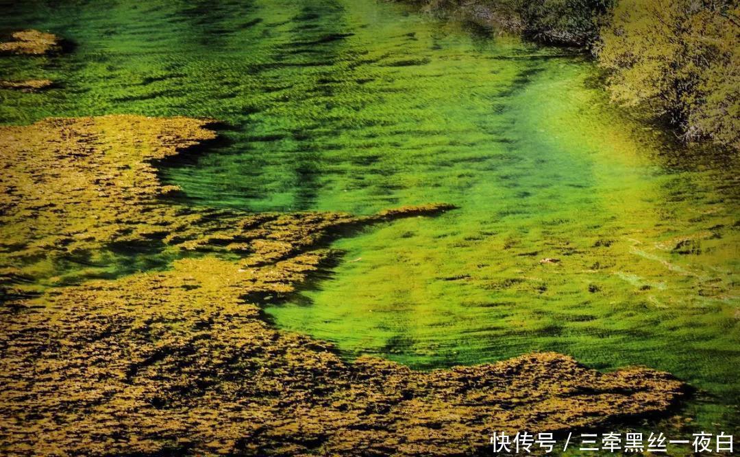 赤道行自驾游: 有一个川西秘境, 媲美九寨沟, 人少景美适合自驾游