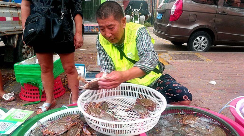 中秋节后菜市场海鲜价格腰斩，梭子蟹最高45，鲜活海鲜鱼价仍高