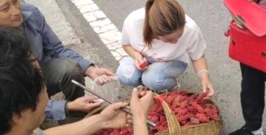  #成了#曾经没人要的“野葡萄”，大妈卖40元1斤成了宝，你吃过吗