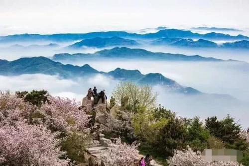 山东，这些镜头告诉你山东有多美！