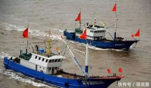 严重失职！违规发放补贴，舟山这些干部被问责！