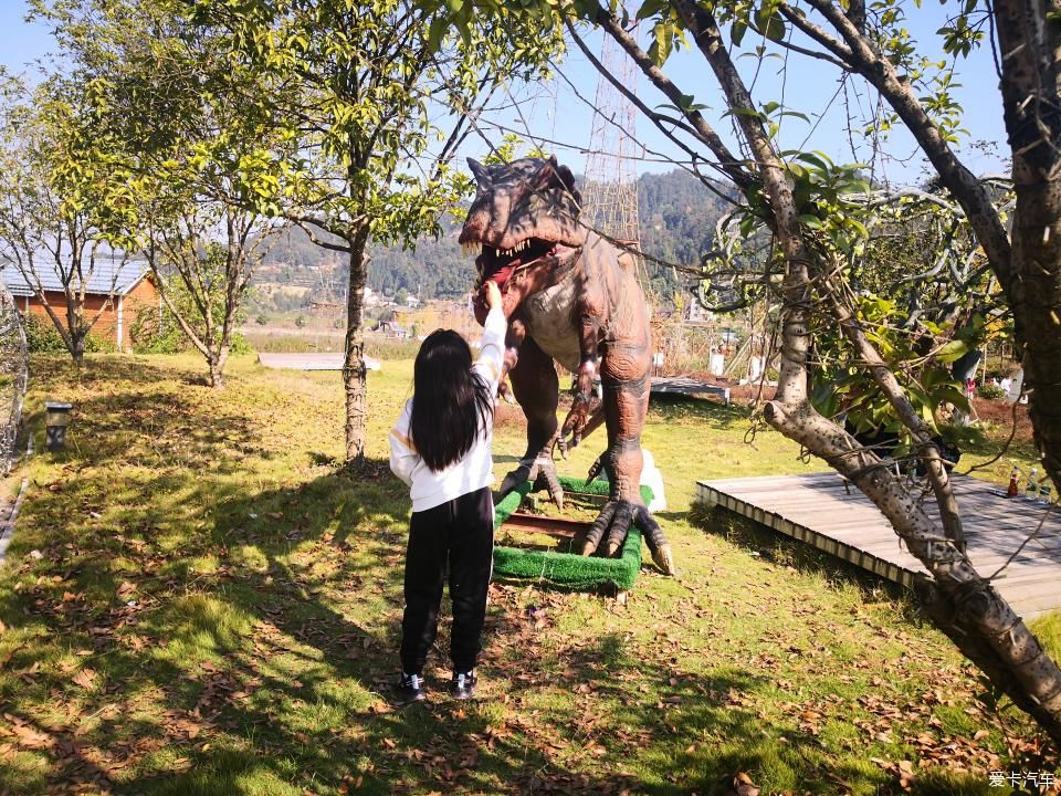 宜昌周边-秭归月亮花谷