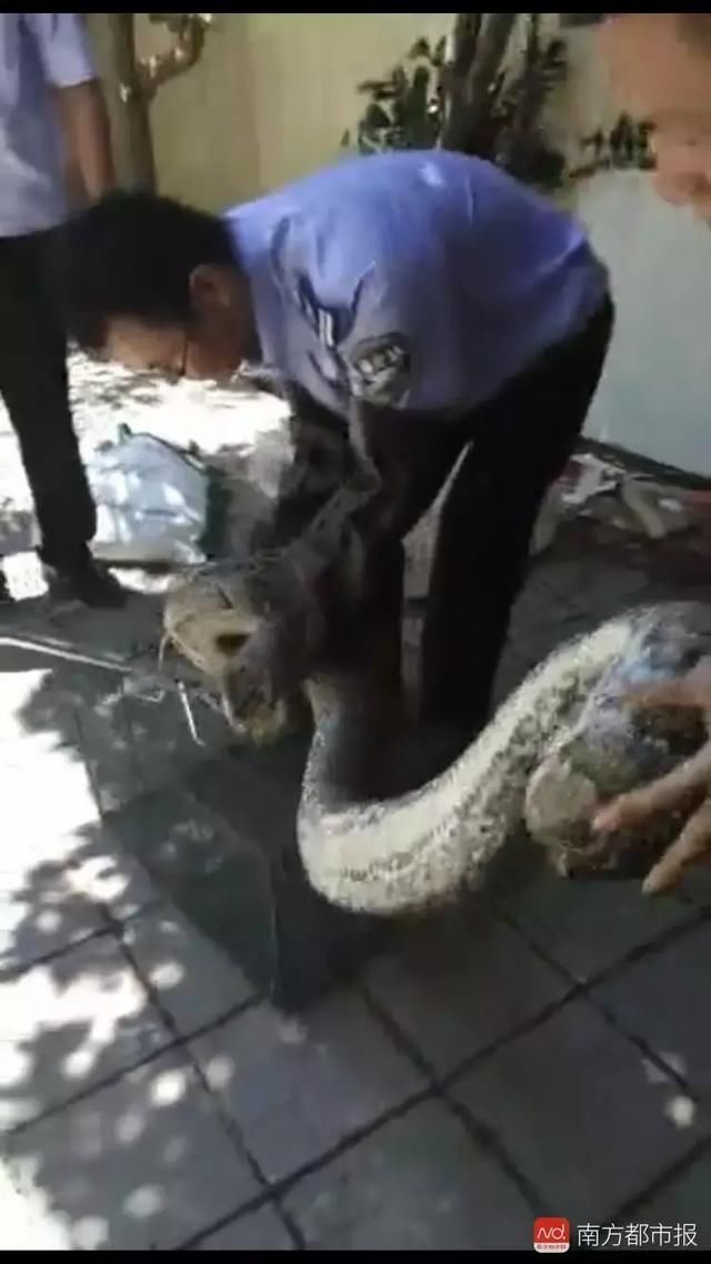 骗局又双叒翻新!女孩接“快递”电话后，支付宝的7万突然消失了