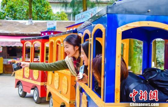 台湾青年体验“大陆年”：家人在 年味浓