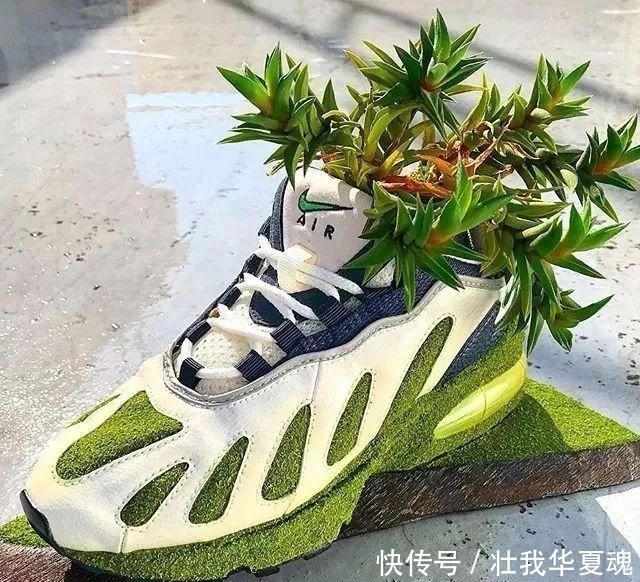  填充■球鞋当花瓶，鲜花填充羽绒服？时尚界的环保也太香了