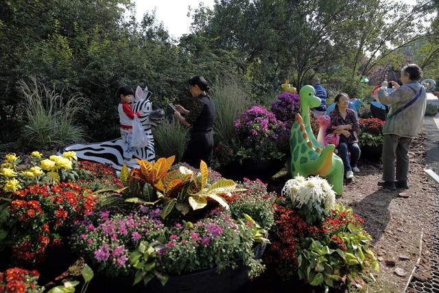 北京植物园40万株鲜花迎国庆 市花展十一开幕